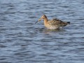 32-DSC07701-Grutto.