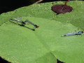 05-DSC03807-
