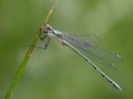 06-DSC04386-