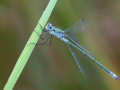 08-DSC04240-