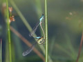 09-DSC04338-