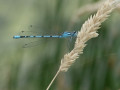 10-DSC04298-
