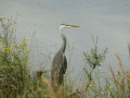 13-DSC04006-