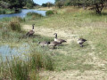 19-DSC04368
