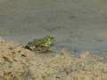 20-DSC04586-
