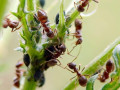 21-DSC03882-r