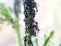 23-DSC04028-