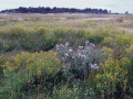 24-DSC04118-