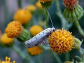 25-DSC03943-