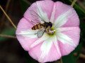 28-DSC03909-