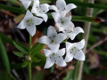 29-DSC04101-
