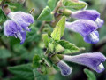30-DSC04114-