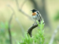 32-DSC04127-