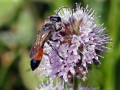39-DSC04615-