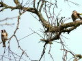 40-DSC04561-