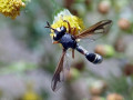 42-DSC04464-