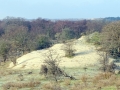DSC01842