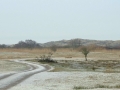 DSC02032 Groot Zwarteveld.