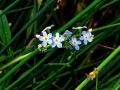 DSC04629.