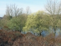 DSC02640 Langs het Sprenkelkanaal.