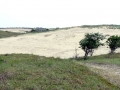 DSC03704 Engelendel.