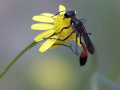 01-DSC07004-