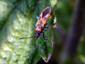 02-DSC04952-