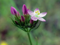 09-DSC05113-