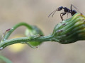 15-DSC06913-