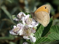 17-DSC05276-