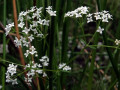 24-DSC05378-