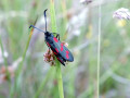 31-DSC05389-