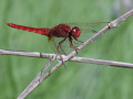 35-DSC05626-