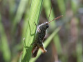 40-DSC06053-