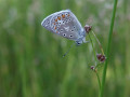 49-DSC05805-