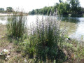 51-DSC05870-