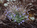 56-DSC05999-
