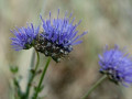 57-DSC05998-