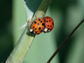 60-DSC06110-