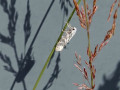 62-DSC06115-