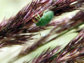 63-DSC06126-