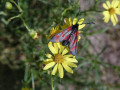 64-DSC06140-