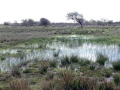 003 DSC09298 Boringdel