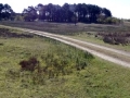 012 DSC09812 Groot Zwarteveld