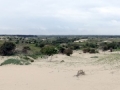 027 DSC00793 van Limburg Stirumsduinen