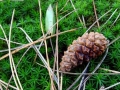 012 DSC02170