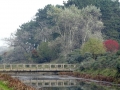 DSC02818 Oosterkanaal