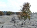 DSC03404 Berk, Vinkenveld