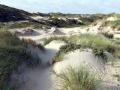14-DSC03378-Coepelduinen.