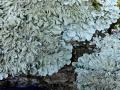 11-DSC09912-